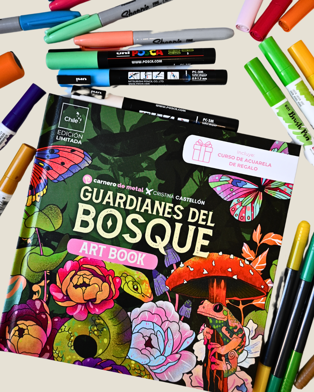 Libro Guardianes del Bosque