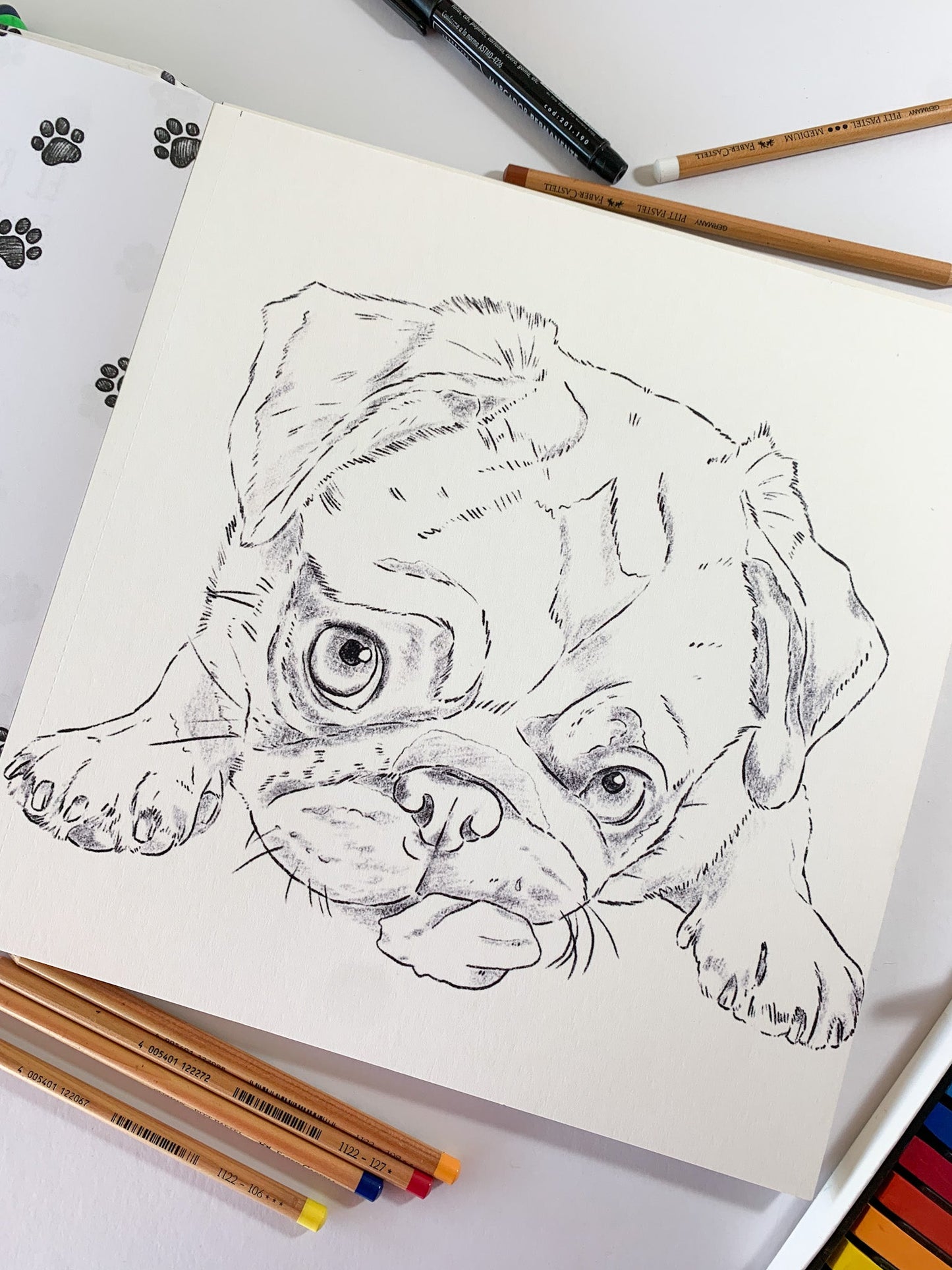 Libro Perros