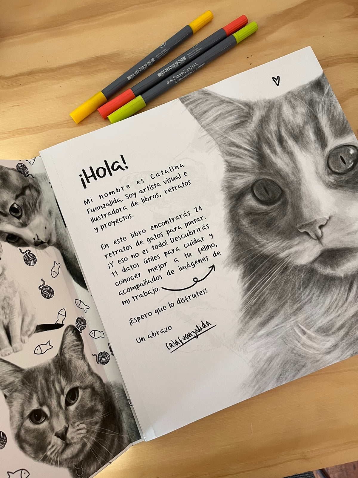 Libro Gatos