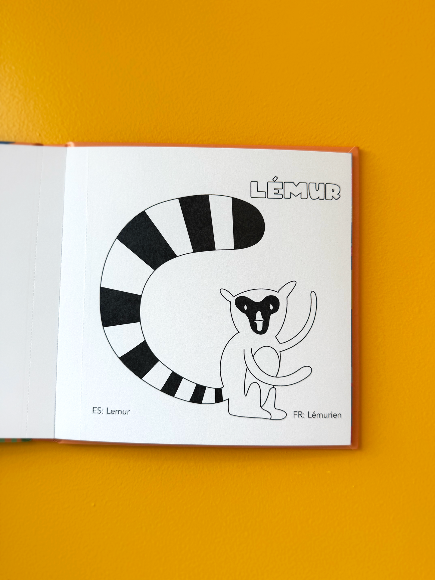 Animals that Shouldn´t be in the ZOO, L`Orange